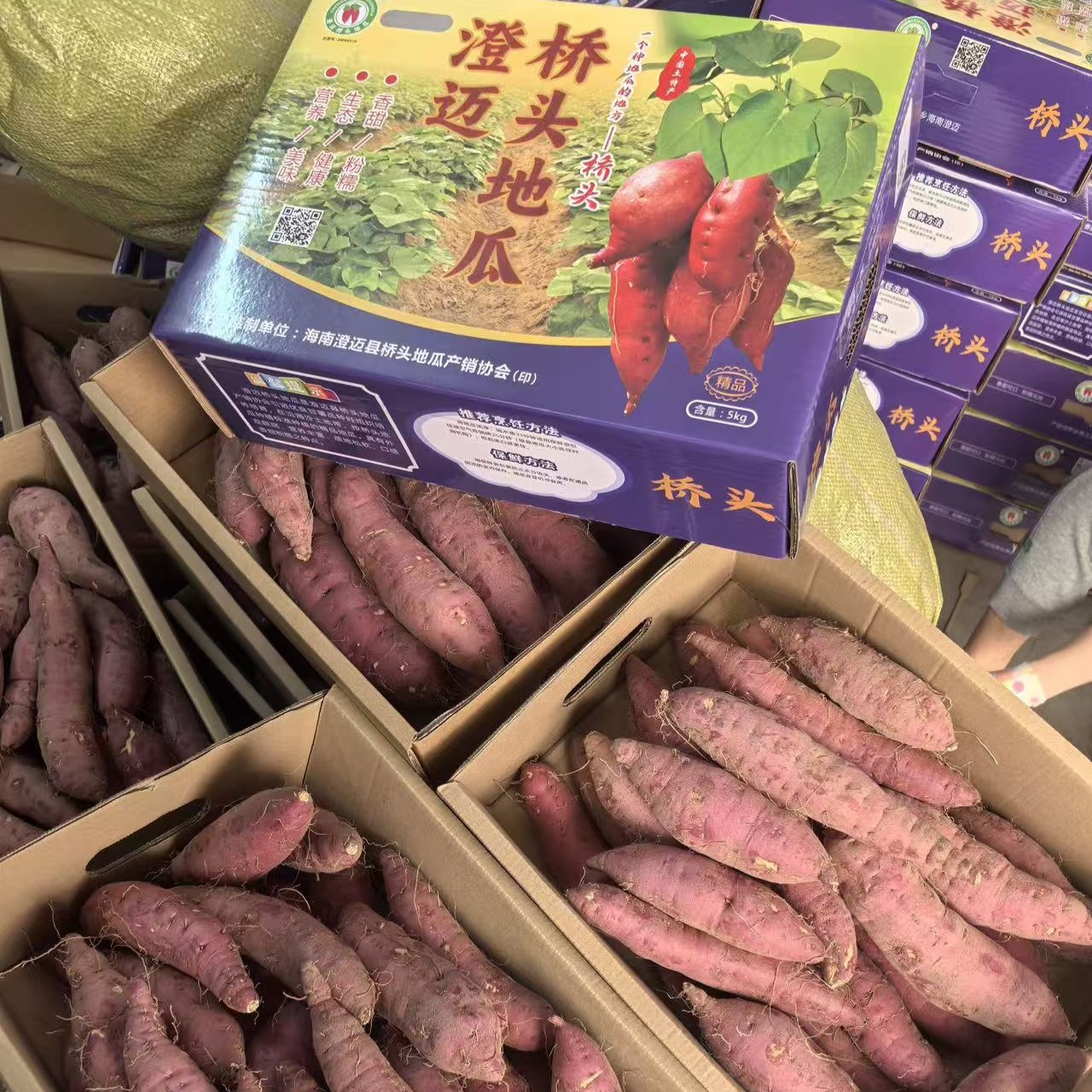 【产地直发】海南正宗桥头地瓜