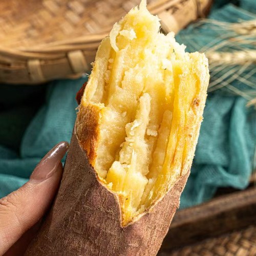 【产地直发】陕西板栗红薯 3斤小果（约10-15根左右）